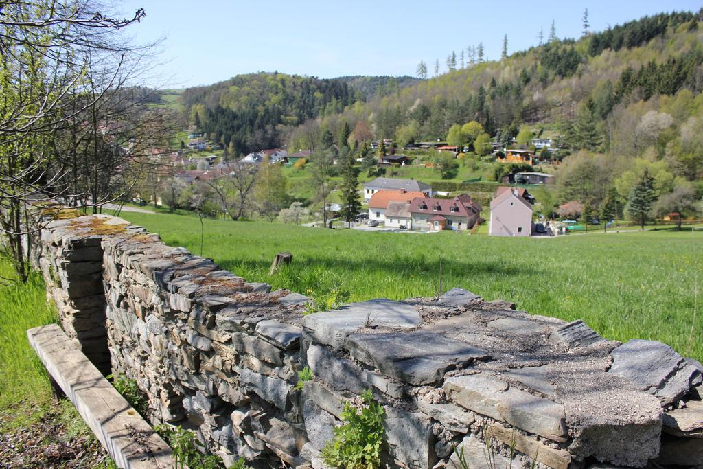 Ferienwohnung Zum Alten Forsthaus Messern Dış mekan fotoğraf